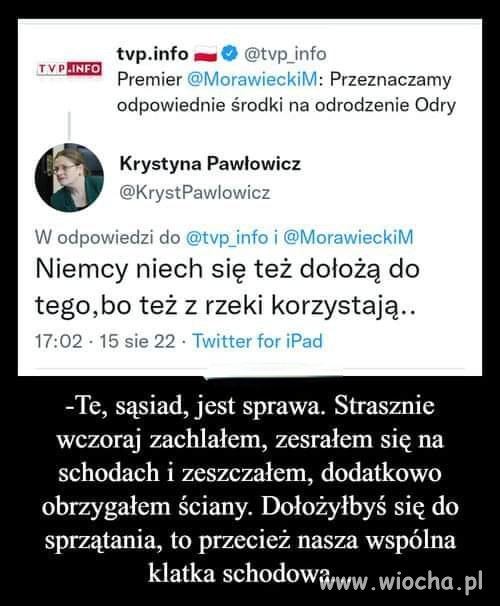 Pisowiec = debil