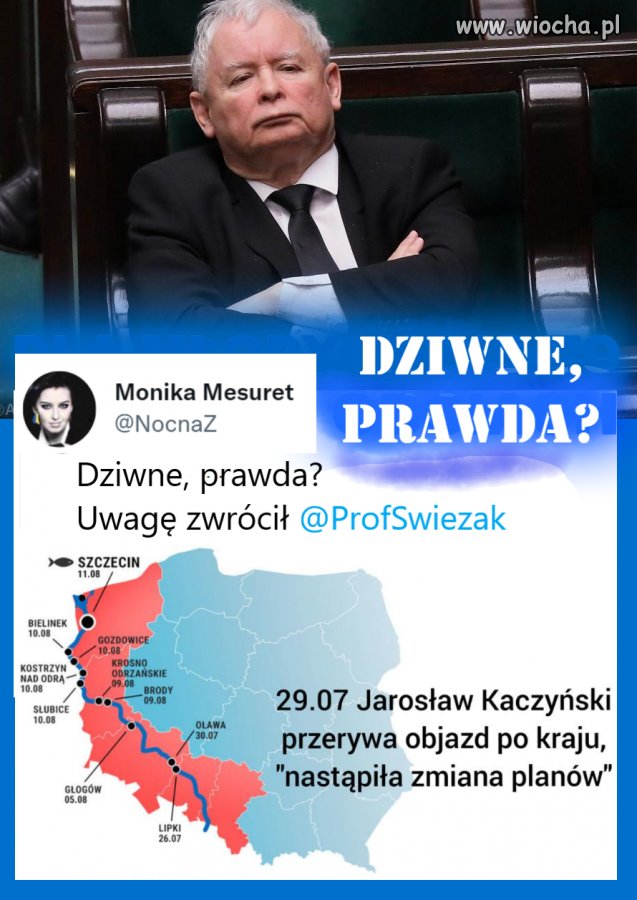 Przypadek - nie sądzę