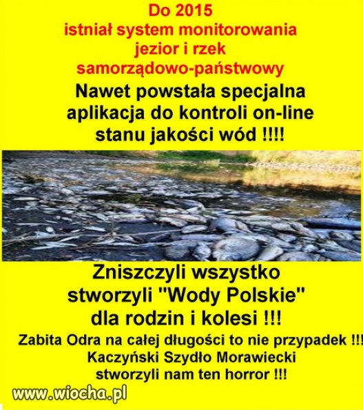 No I jak to PISIORY, wszystko spieprzyli...