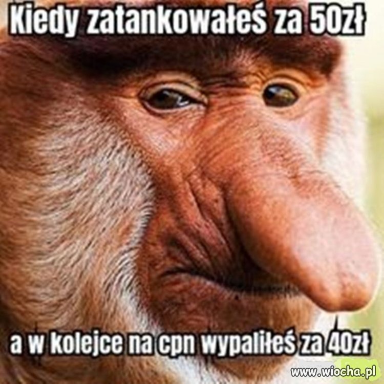 I  nie ma się z czego