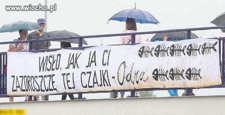 Ten baner nad Odrą jest tak dotkliwy że ...