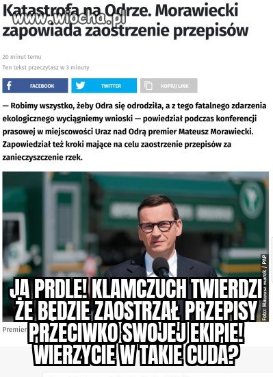 Ludzie cuda! Bydło ludzkim głosem gada!