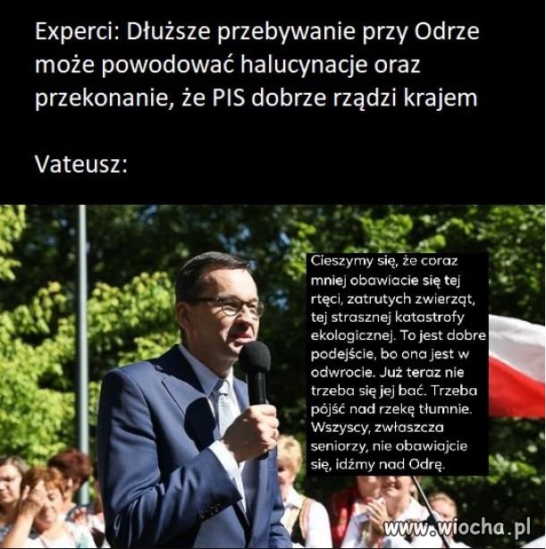 Heheszki polityczne