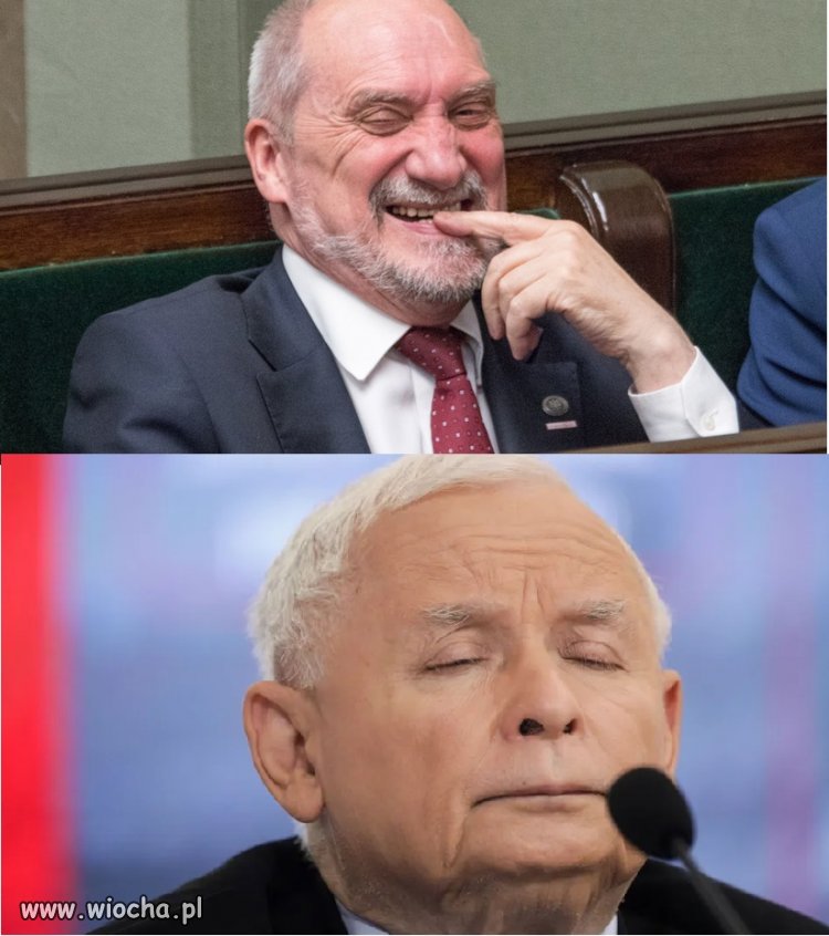 Gdy dla jaj podmienisz Jarkowi pigułki