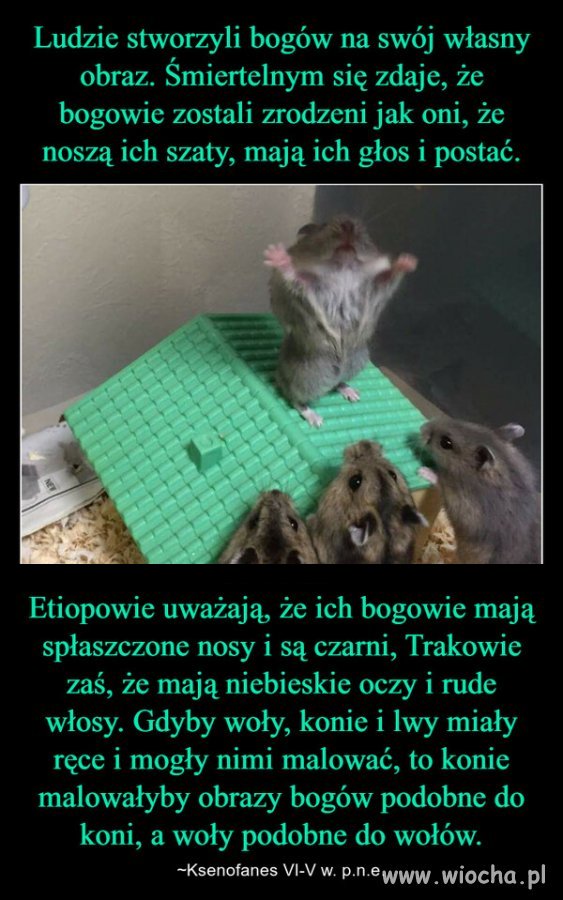 Nie tylko u nas 
