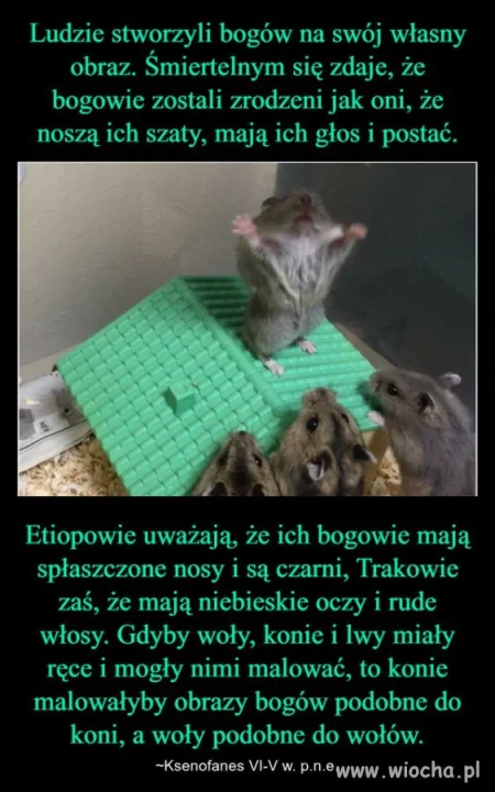 Nie tylko u nas 