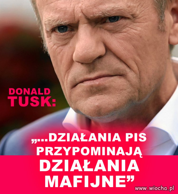 Niektóre działania PiS przypominają działania mafijne