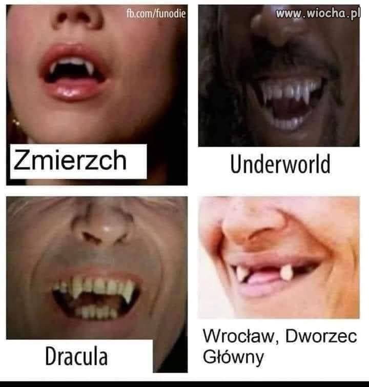 Prawie jak w Hollywood 
