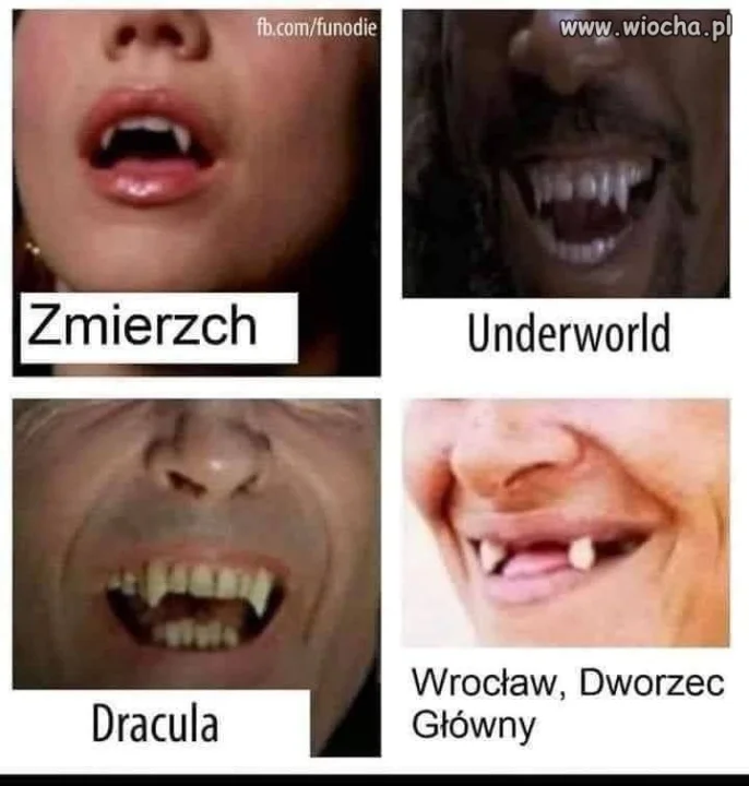 Prawie jak w Hollywood 