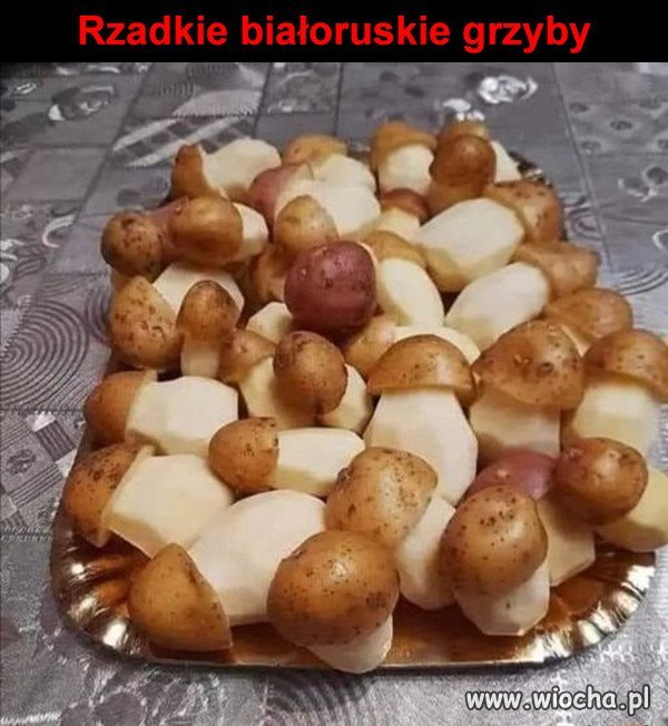 BiałoRuskie grzyby.