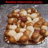 BiałoRuskie grzyby.
