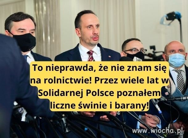 A jednak się zna