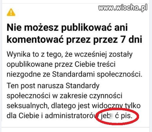 Czynności seksualne