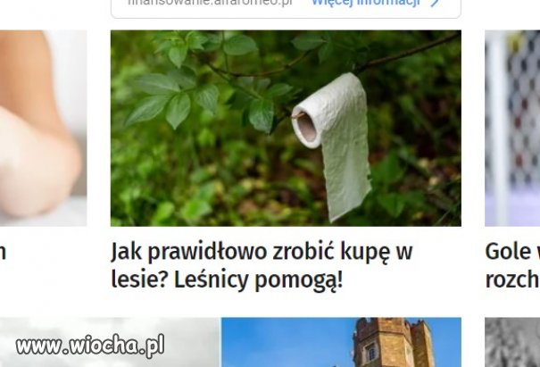 Skoro lesnicy pomogą...