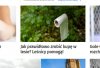 Skoro lesnicy pomogą...