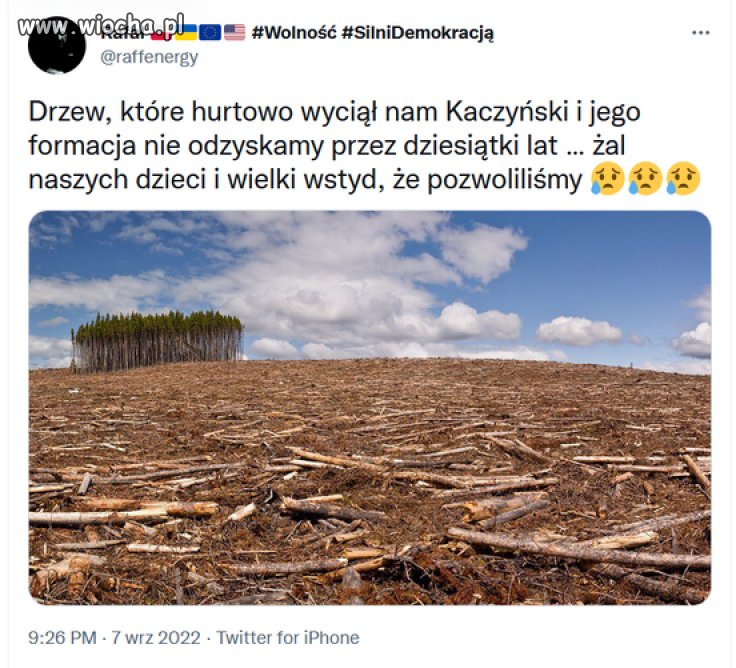 Pisowskie zje#y