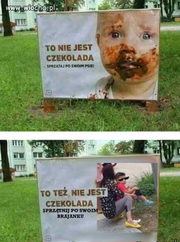 Każdy sprząta po swoim psie, nikt nie 