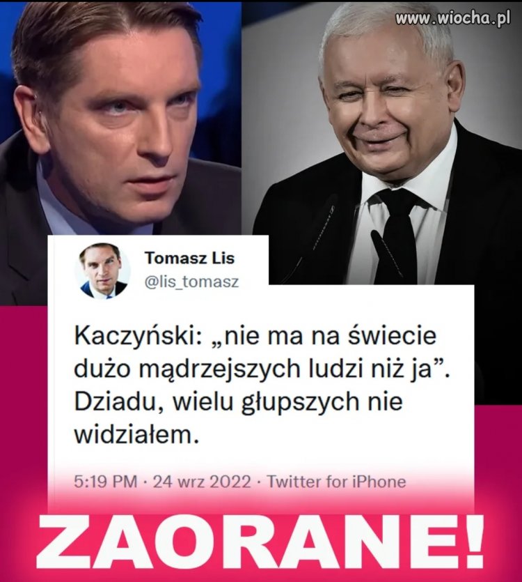 Cięta 
