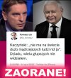 Cięta 