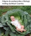 HiT czy shit