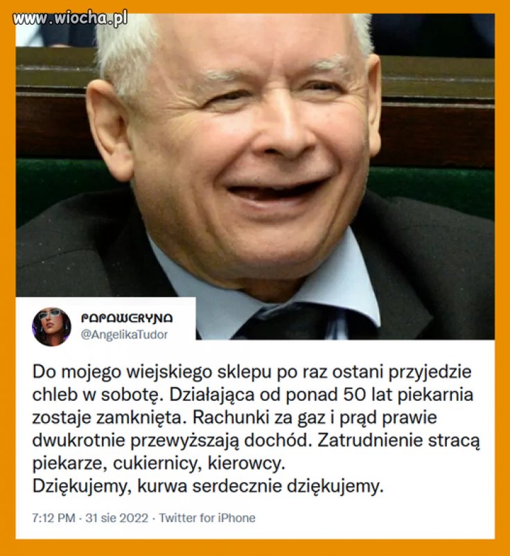 Pisowskie ścierwa