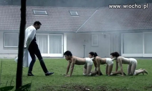 Układ stanowiskowy w PIS