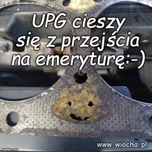 Ma minkę jak mechanik Henio