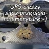 Ma minkę jak mechanik Henio