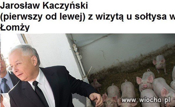 Jarosław.