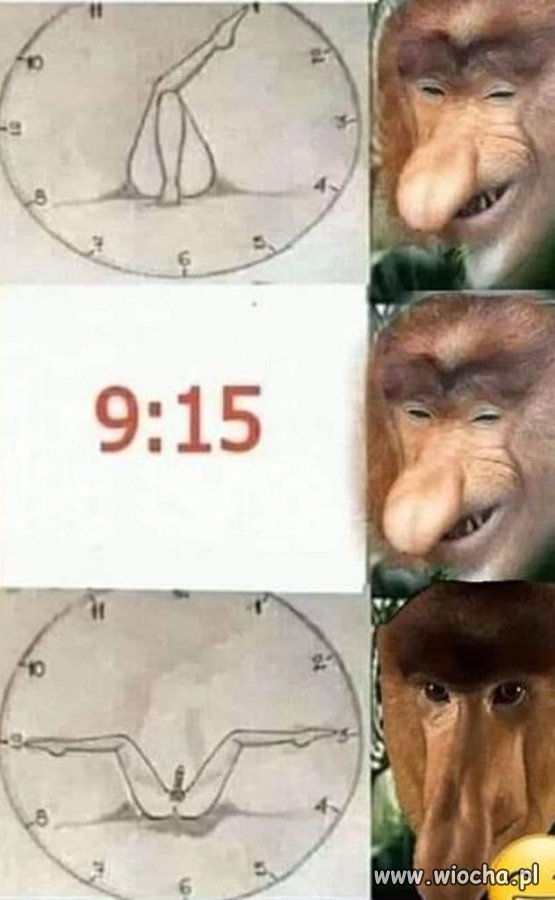 I cały misterny plan