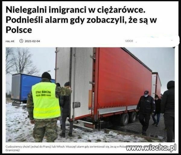 Imigranci.