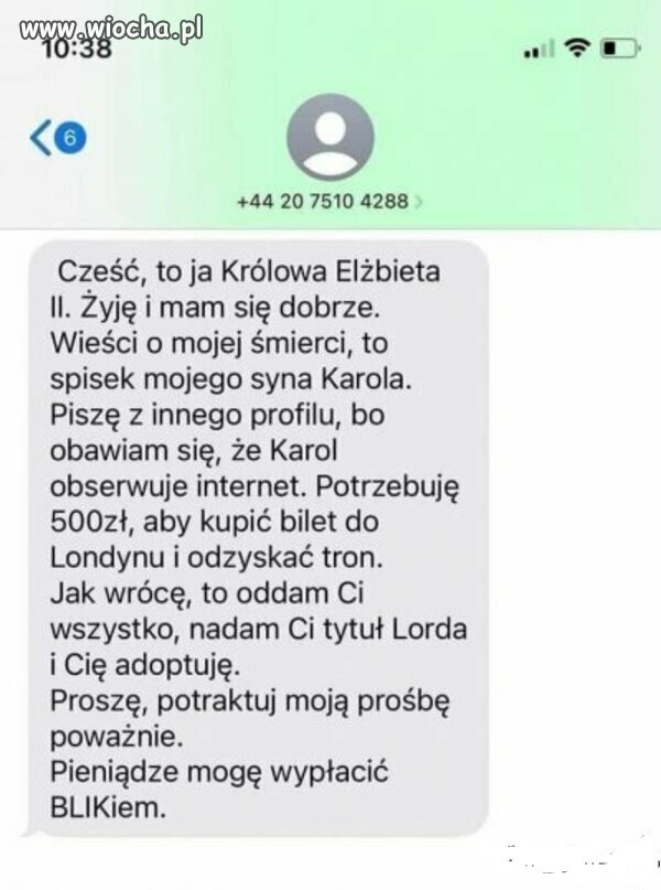 Brzmi wiarygodnie.  TVPis potwierdza. 