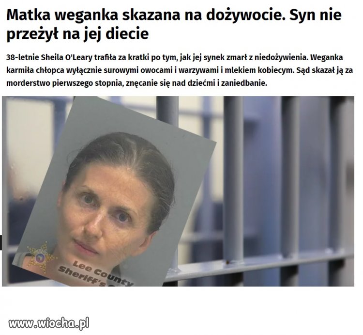 I strach padł na wszystkie wegańskie blogerki