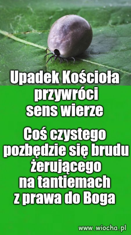 Słowo na niedzielę