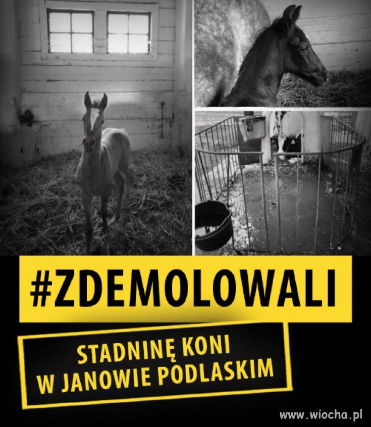 PiS demoluje Polskę 