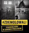 PiS demoluje Polskę 