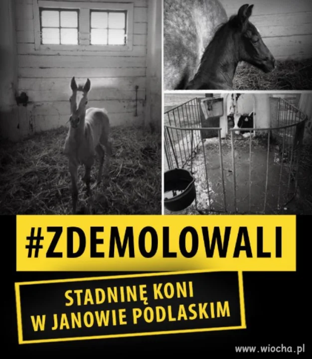 PiS demoluje Polskę 