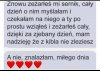 Potyczki miłosne 