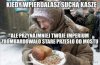 " potęga"  rosji  buahahaha 