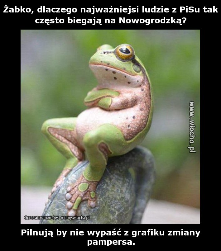 Żabko, dlaczego najważniejsi ludzie z PiSu tak