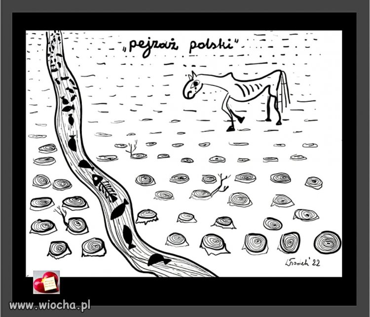 Pejzaż po pisie 