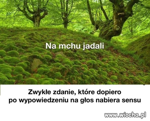 Pisiory na mchu jadali.