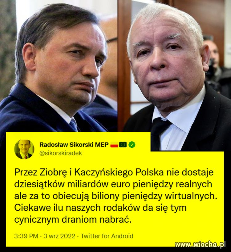 Ilu jest naiwniaków?