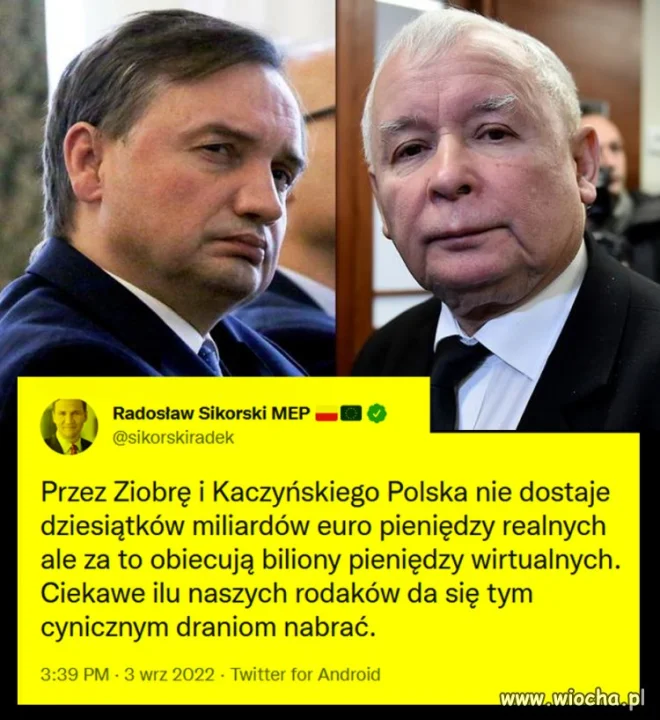Ilu jest naiwniaków?