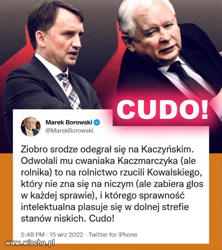 Jak mocne papiery na prezesa musi mieć ZZ 
