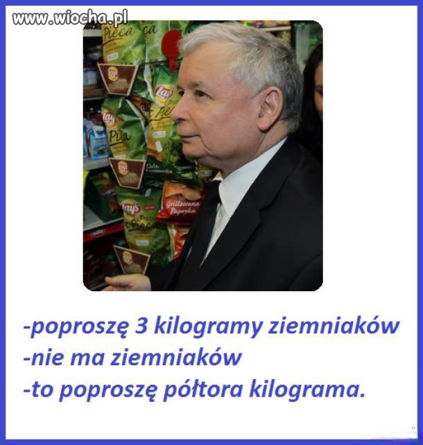 Idol pisiaków 