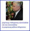 Idol pisiaków 