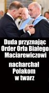 Parszywi i Skorumpowani