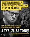 Pisowskie złodzieje