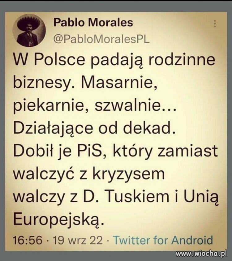 Znów wina